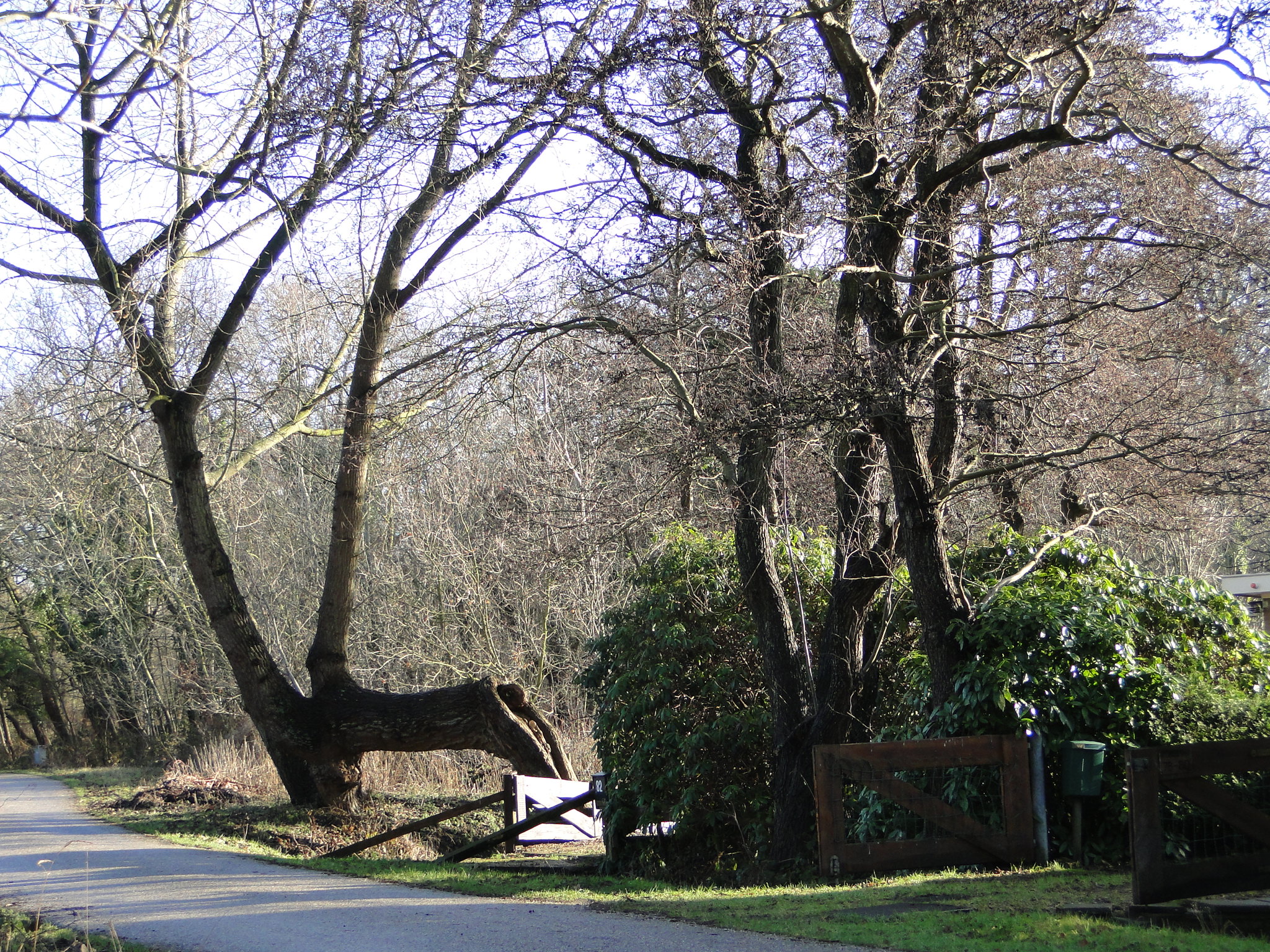 NWK 2010 181.jpg